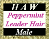 Peppermint Leader Hair M