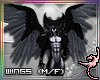 (IR)WereFur: Wings M/F
