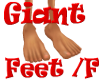(1M) Giant Feet Female