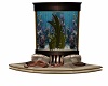 aquarium enigma