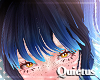 Kludde Bangs * | Q