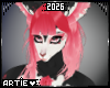 A* Amoris | F Hair 4