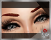 [LD]Brows♣R