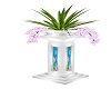 AAP-Spring Pillar Plant