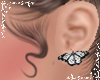 L>Bw-Butterfly Earring