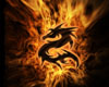 You Tube Player Dragon