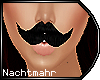 !N! Maria Mustache