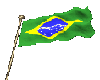 (FZ)Brasil Flag