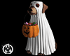 Ghost Halloween Doggy