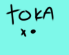 Toka skin