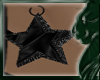 !jp Starred Earrings