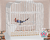 Pet Parrot Cage