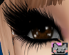 Nyan! Brown Oracle Eyes