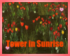 Tower in Sunrise Photo