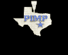 Texas 