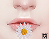 May♥Mouth Flower