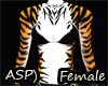 ASP) A Tiger Fur Female