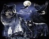 wolfs thtone