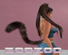 Z Chocolate Tail