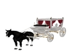 white funeral carriage