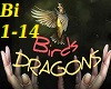=Dragons Birds=