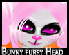 Furry Bunny
