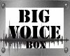 Big Voice Box*
