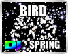 BIRD SPRING PARTICLE