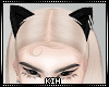 cat ear