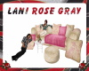 LRG - BFE Couch&Pillows