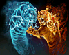 Tigers Fire And Ice