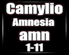 amn 1-11