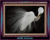 Snowy Egret Framed