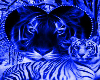 (MA)Blue Tiger Club