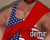 [D] 4 th july tank