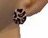 Leopard Earrings