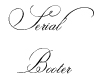 Serial Booter