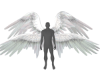 !V White Animated Wings