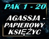 Papierowy Księżyc