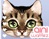 [Aini] Tabby Cat Sticker