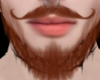 K | Ger Beard Ginger