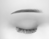 Black Brows