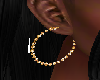 FG~ Gold Hoop Earrings