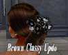 Brown Classy Updo