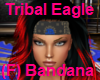 Tribal Eagle (F) Bandana