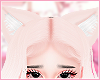 Cat ears blonde