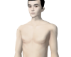 skinn gang