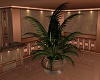 Elegant Relaxing Plant
