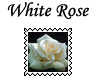 White Rose Stamp