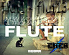 New World Sound - Flute